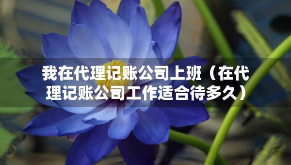 我在代理記賬公司上班（在代理記賬公司工作適合待多久）