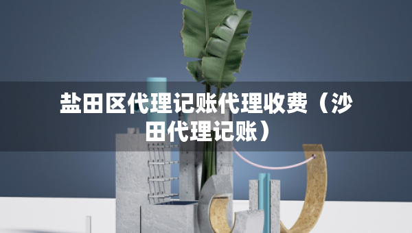 鹽田區(qū)代理記賬代理收費(fèi)（沙田代理記賬）