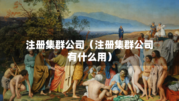 注冊集群公司（注冊集群公司有什么用）