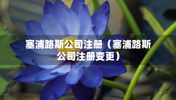塞浦路斯公司注冊(cè)（塞浦路斯公司注冊(cè)變更）
