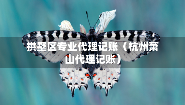 拱墅區(qū)專業(yè)代理記賬（杭州蕭山代理記賬）