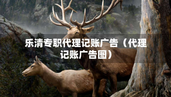 樂(lè)清專職代理記賬廣告（代理記賬廣告圖）