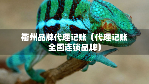 衢州品牌代理記賬（代理記賬全國連鎖品牌）