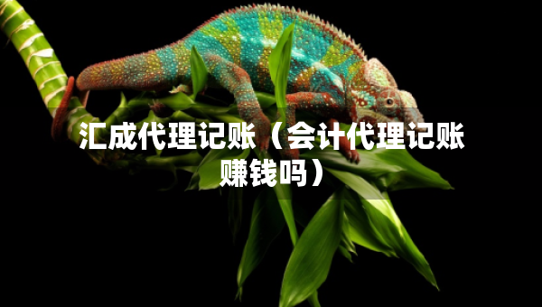 匯成代理記賬（會(huì)計(jì)代理記賬賺錢嗎）