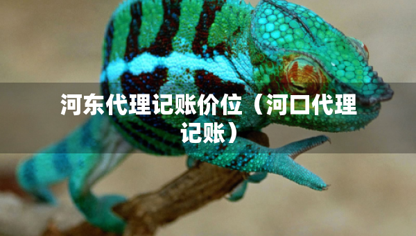 河?xùn)|代理記賬價(jià)位（河口代理記賬）