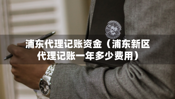 浦東代理記賬資金（浦東新區(qū)代理記賬一年多少費(fèi)用）