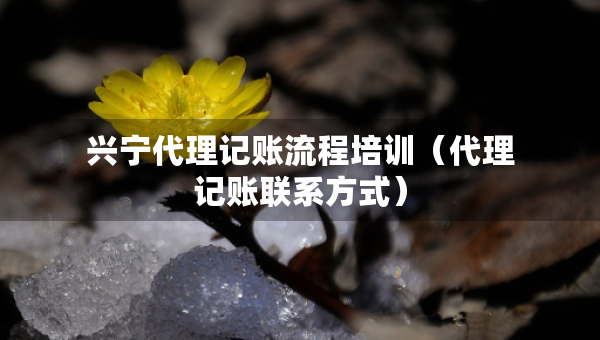 興寧代理記賬流程培訓(xùn)（代理記賬聯(lián)系方式）