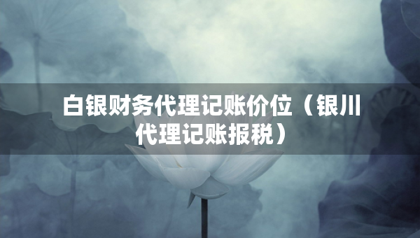 白銀財務代理記賬價位（銀川代理記賬報稅）