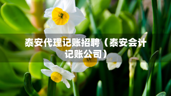 泰安代理記賬招聘（泰安會計記賬公司）