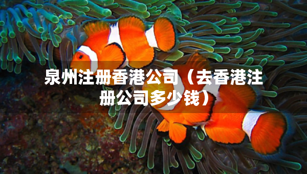 泉州注冊香港公司（去香港注冊公司多少錢）