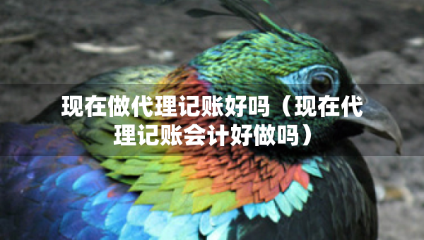 現(xiàn)在做代理記賬好嗎（現(xiàn)在代理記賬會(huì)計(jì)好做嗎）