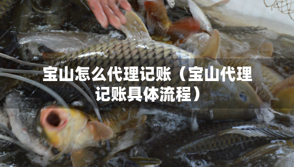 寶山怎么代理記賬（寶山代理記賬具體流程）