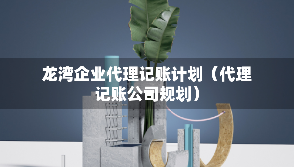 龍灣企業(yè)代理記賬計(jì)劃（代理記賬公司規(guī)劃）