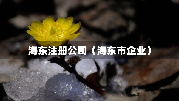 海東注冊公司（海東市企業(yè)）