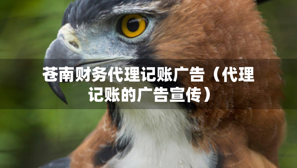 蒼南財(cái)務(wù)代理記賬廣告（代理記賬的廣告宣傳）