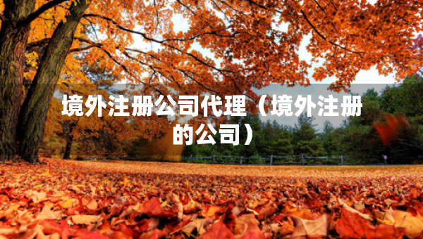 境外注冊(cè)公司代理（境外注冊(cè)的公司）