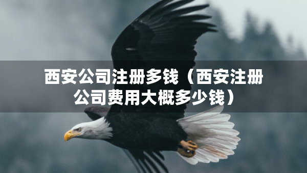 西安公司注冊多錢（西安注冊公司費(fèi)用大概多少錢）