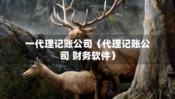 一代理記賬公司（代理記賬公司 財務軟件）