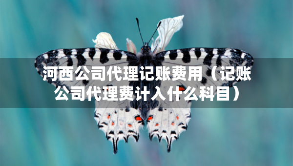 河西公司代理記賬費用（記賬公司代理費計入什么科目）