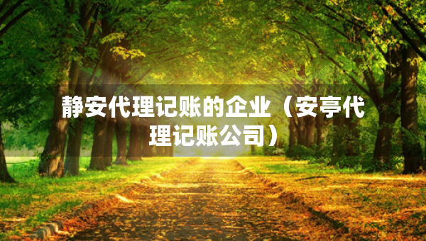 靜安代理記賬的企業(yè)（安亭代理記賬公司）