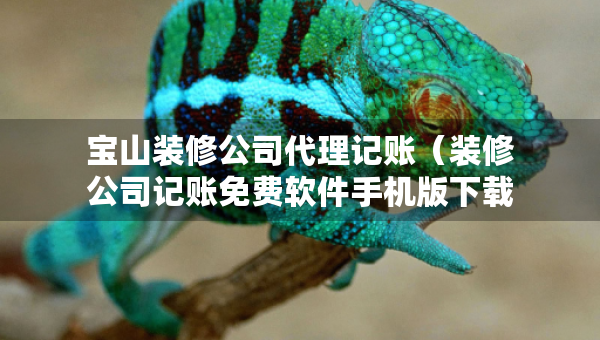 寶山裝修公司代理記賬（裝修公司記賬免費(fèi)軟件手機(jī)版下載）