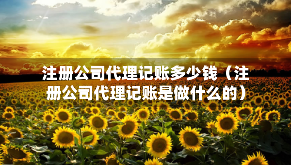 注冊(cè)公司代理記賬多少錢(qián)（注冊(cè)公司代理記賬是做什么的）