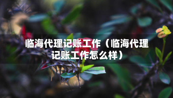 臨海代理記賬工作（臨海代理記賬工作怎么樣）