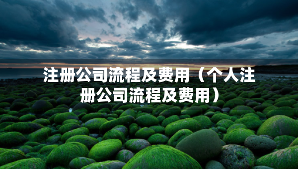 注冊公司流程及費用（個人注冊公司流程及費用）