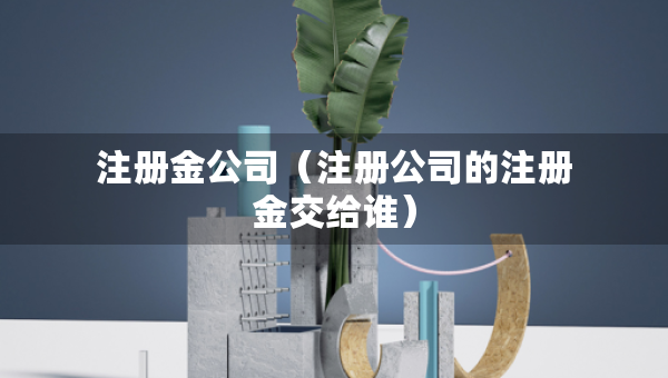 注冊(cè)金公司（注冊(cè)公司的注冊(cè)金交給誰(shuí)）