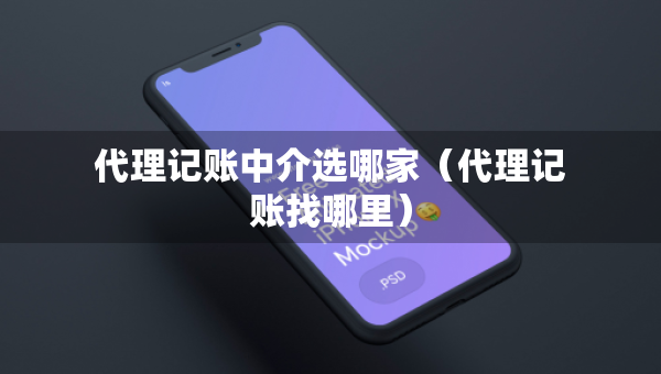 代理記賬中介選哪家（代理記賬找哪里）