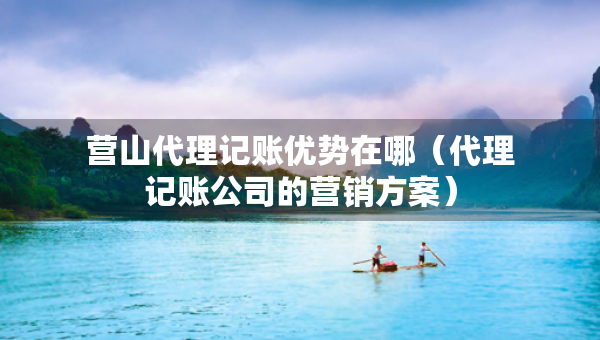營山代理記賬優(yōu)勢在哪（代理記賬公司的營銷方案）