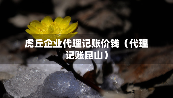 虎丘企業(yè)代理記賬價錢（代理記賬昆山）