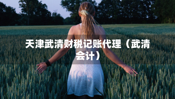 天津武清財(cái)稅記賬代理（武清會計(jì)）