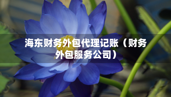 海東財(cái)務(wù)外包代理記賬（財(cái)務(wù)外包服務(wù)公司）
