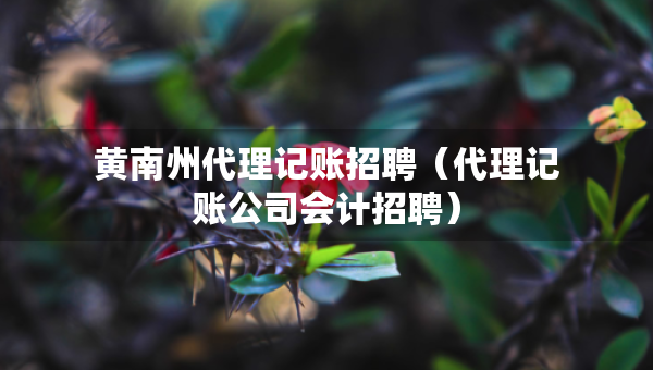 黃南州代理記賬招聘（代理記賬公司會計招聘）