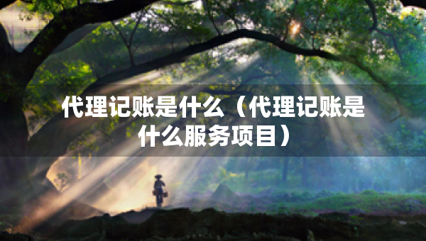 代理記賬是什么（代理記賬是什么服務(wù)項目）