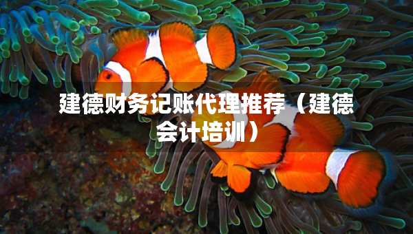 建德財(cái)務(wù)記賬代理推薦（建德會(huì)計(jì)培訓(xùn)）