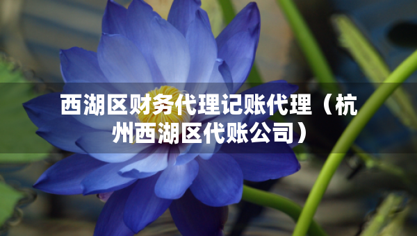 西湖區(qū)財務代理記賬代理（杭州西湖區(qū)代賬公司）