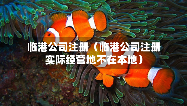 臨港公司注冊（臨港公司注冊實際經營地不在本地）