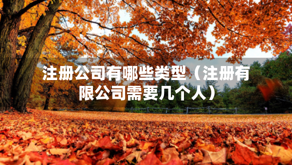 注冊(cè)公司有哪些類(lèi)型（注冊(cè)有限公司需要幾個(gè)人）