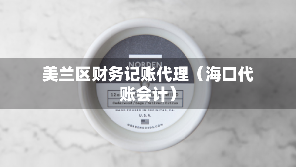 美蘭區(qū)財務(wù)記賬代理（?？诖~會計）