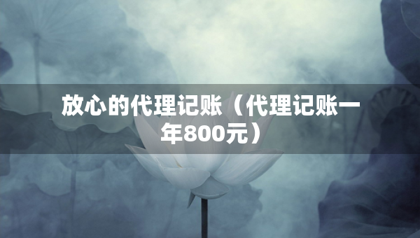 放心的代理記賬（代理記賬一年800元）