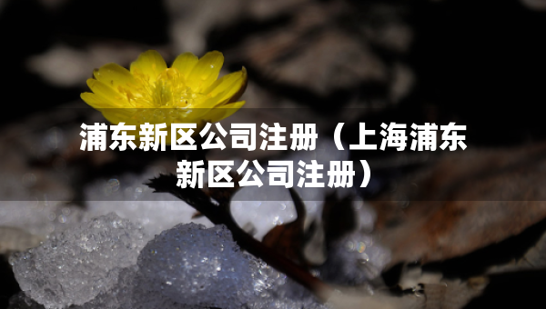 浦東新區(qū)公司注冊(cè)（上海浦東新區(qū)公司注冊(cè)）