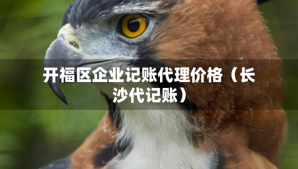 開福區(qū)企業(yè)記賬代理價格（長沙代記賬）