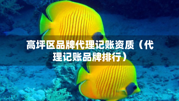 高坪區(qū)品牌代理記賬資質(zhì)（代理記賬品牌排行）