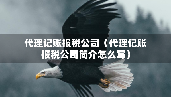 代理記賬報(bào)稅公司（代理記賬報(bào)稅公司簡介怎么寫）