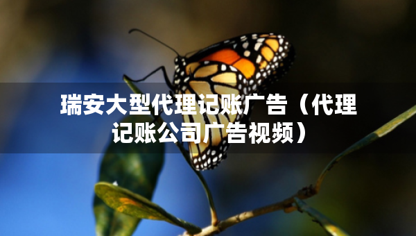瑞安大型代理記賬廣告（代理記賬公司廣告視頻）