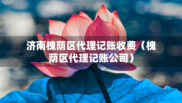 濟(jì)南槐蔭區(qū)代理記賬收費(fèi)（槐蔭區(qū)代理記賬公司）