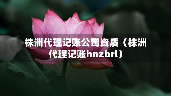 株洲代理記賬公司資質(zhì)（株洲代理記賬hnzbrl）