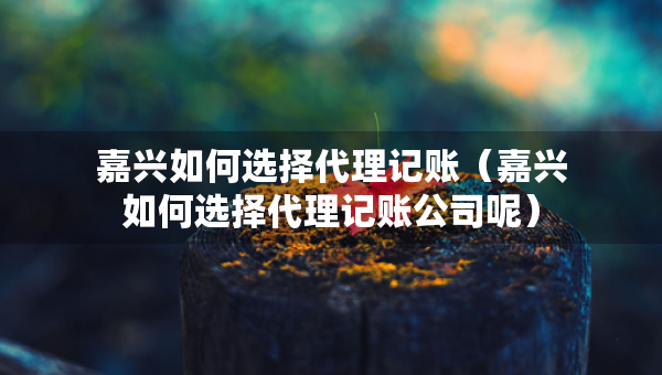 嘉興如何選擇代理記賬（嘉興如何選擇代理記賬公司呢）